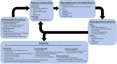 Editorial: Impact and Management of Marine Biofouling